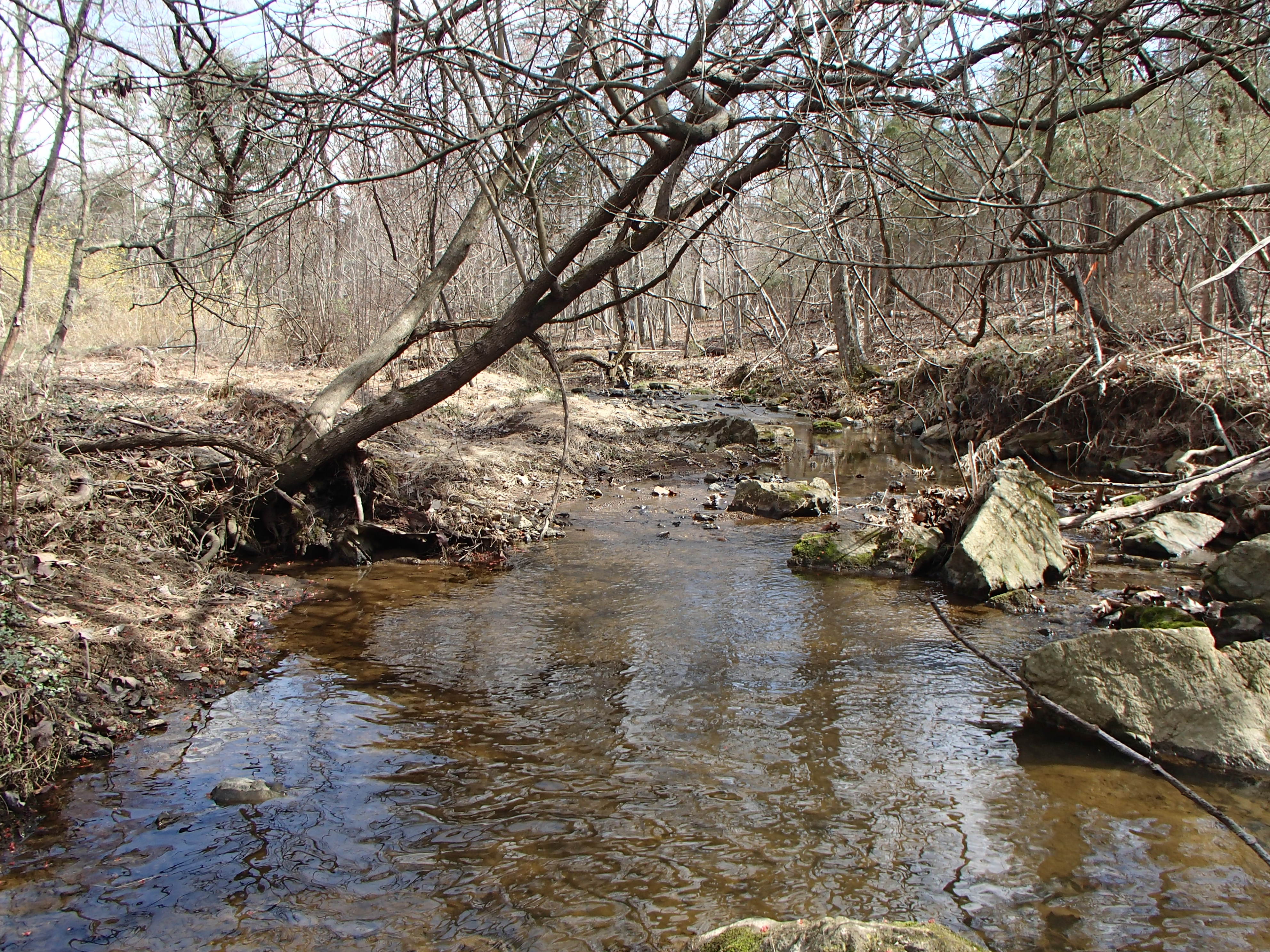 Field photo showing stream conditions at site PRMO-207-X-2016_Midpoint looking upstream